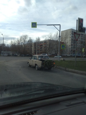 1_Елку везут.jpg 1_Елку везут.jpg